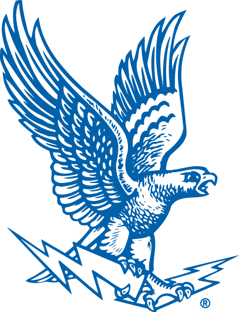 Air Force Falcons 1963-1994 Primary Logo diy DTF decal sticker